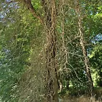 L'entre Deux Eaux 'maison' Balcon 'et Jardin 度假居