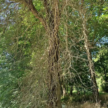 L'entre Deux Eaux 'maison' Balcon 'et Jardin Casa vacanze
