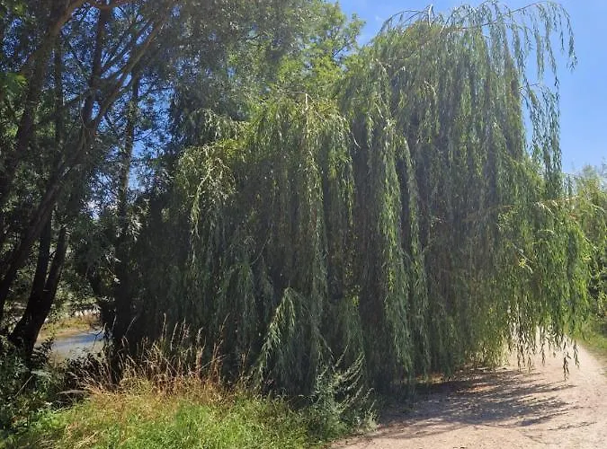 L'entre Deux Eaux 'maison' Balcon 'et Jardin *