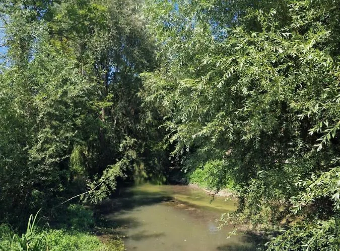 L'entre Deux Eaux 'maison' Balcon 'et Jardin Remeš